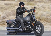 Harley-Davidson FLSTSB Softail Cross Bones